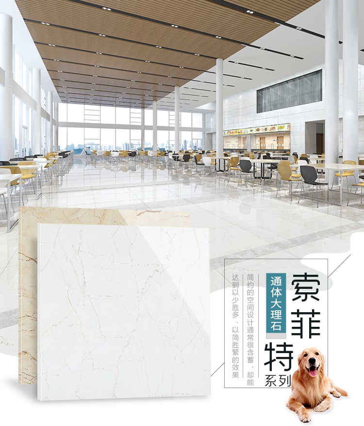 801-807TT-YY8004_01.jpg 801-807TT-YY8004_01.jpg