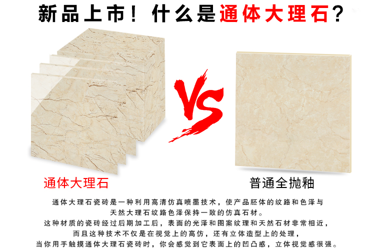 801-807TT-YY8004_02.jpg 801-807TT-YY8004_02.jpg